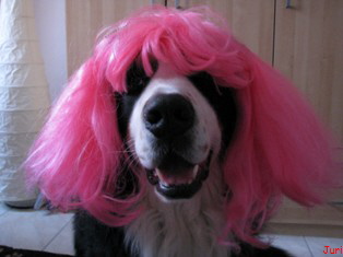 Fasching 2010